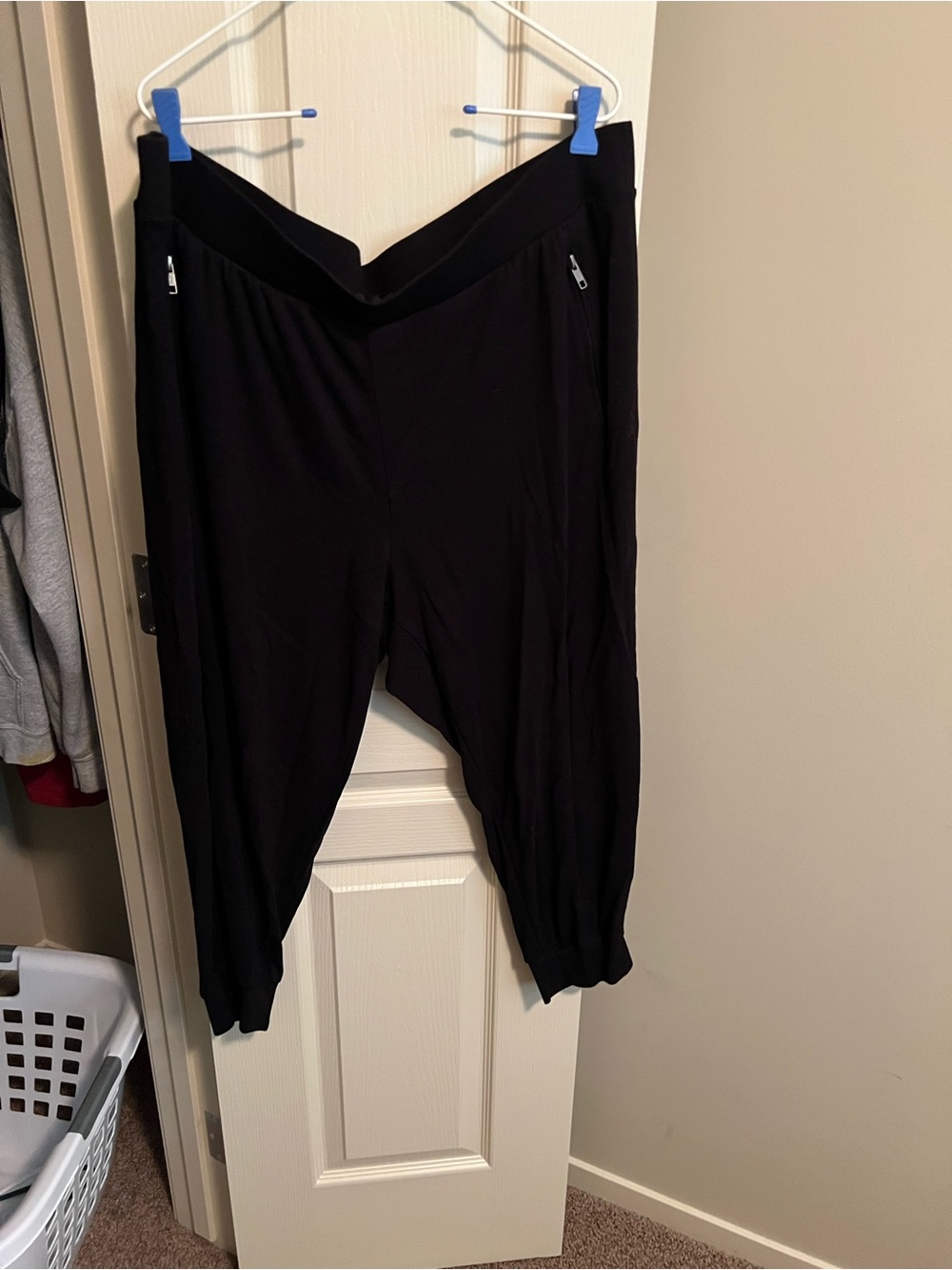 torrid black pants
